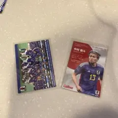 中村敬斗 Calbee 日本代表チップス カルビー