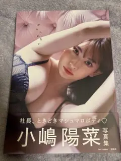 小嶋陽菜 写真集　かもしれない　初版