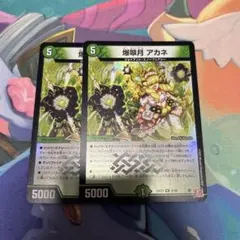 爆翠月アカネ　ばくすいげつアカネ　２枚