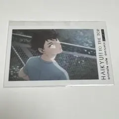 ハイキュー!! 及川徹 アニカフェ フォトカード