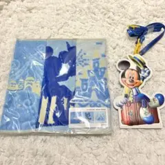 ディズニー　バケーションパッケージ　ミニタオル　パスケース　ミッキーマウス