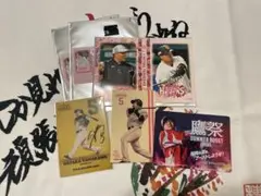 山川穂高 ステッカー ミニフォト