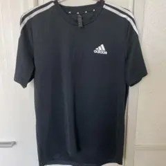 Item thumbnail for item 4d5e7cf5-30e0-484c-9969-19bd56c5d16f