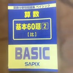 SAPIX 연산 영역별 문제집 기초 60문제 2 비율