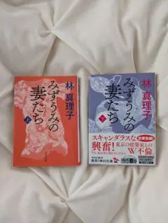 みずうみの妻たち 上下巻セット　林真理子