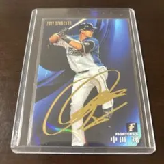 2017年★中田翔★金箔サイン★カルビー★プロ野球チップス★S-25