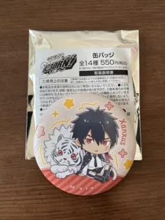 Xanxus 缶バッジ 直径約5.5cm