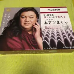 【未使用】 昭和西川　ムアツまくらのサムネイル