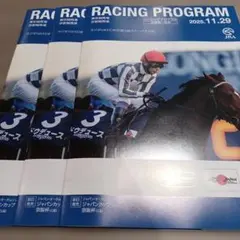 11/29 JRA レーシングプログラム