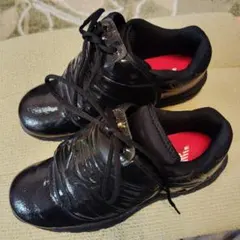 Item thumbnail for item 1e2b6088-04ac-4b18-94f7-074761311583