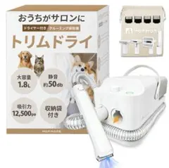 Item thumbnail for item d522e25c-ba25-40ad-ad8b-e44c18eec4f1