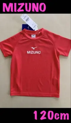 Item thumbnail for item b3e7b2f5-9371-4056-84ba-50eb8b86d504