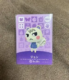 2026年最新】ジュン amiiboカードの人気アイテム - メルカリ