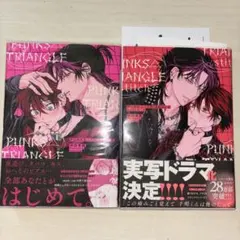 PUNKS△TRIANGLE +stitch1 特典付き 沖田有帆先生 商業BL