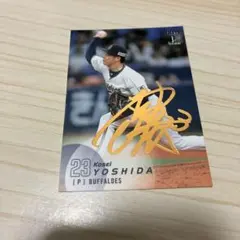 Item thumbnail for item 3f770f39-ccf0-48e4-b02c-f316749bedc0