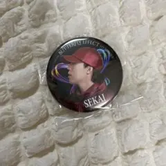 FANTASTICS　BUTTERFLY EFFECT　世界 缶バッジ