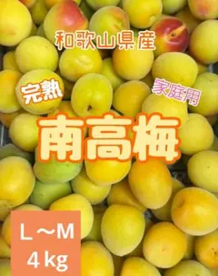 和歌山県紀南産 完熟南高梅5㎏ 秀品 3L〜4L - メルカリ