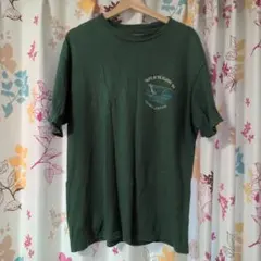 90sヴィンテージ Hanes Tシャツ アニマル 両面プリント グリーン