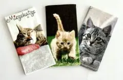 Item thumbnail for item 2a76cc9f-260a-4655-abea-eee7b46d76ca