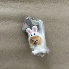 【匿名発送】 スキズ ガチャガチャ ハン SKZOO