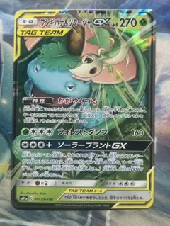 フシギバナ＆ツタージャGX RR SM11a リミックスバウト 001/064