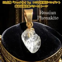 Stein様 リクエスト 2点 まとめ商品