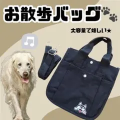 あ★フォロー割 アエロ・フュージョン ムーンフェイズ キングゴールド