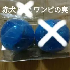 専用出品 新品未開封 ワンピの実 第十三海戦 赤犬