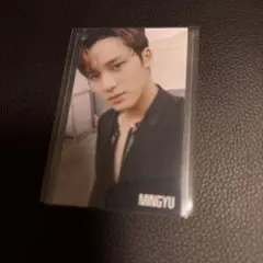 Item thumbnail for item c008f7f0-1827-4902-becf-73f41d8b7582