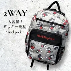 【美品】Walt Disney 大容量 2wayリュック 総柄ミッキー
