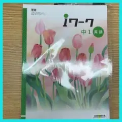 iワーク　中1~中3 英数国理社歴地　バラ売りOK iワーク 中1~中3 英数国理社歴地 バラ売りOK