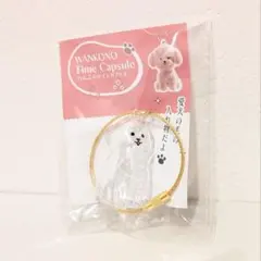 わんこのタイムカプセル モカ 愛犬 毛