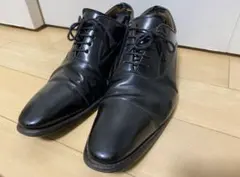 Item thumbnail for item 43e331d4-6f15-4208-9a07-efb0a6d4efe1