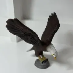 2026年最新】鳥の飛翔の人気アイテム - メルカリ