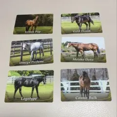 オールひだか うま旅 引退馬 ホースカード 6枚セット