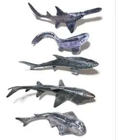 海の生き物 フィギュア 5点セット