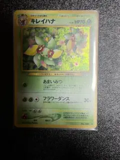 キレイハナ　旧裏　psa10 2026年最新】キレイハナ 旧 psa10の人気アイテム - メルカリ