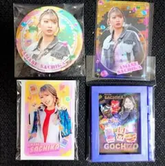 仮面ライダーガヴ 甘根幸果セット