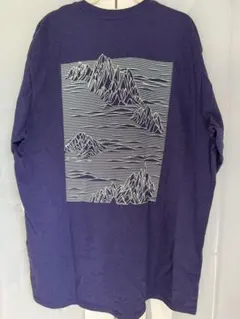 レア柄【新品未使用】Patagonia 半袖Tシャツ メンズ US Mサイズ