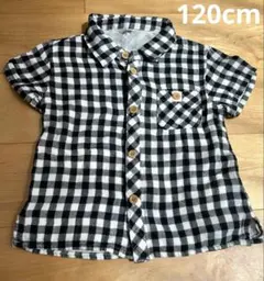 ポロシャツ 白 トップス