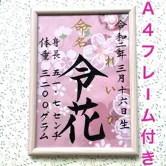手書きオーダー命名書　代筆　命名紙　出産祝い　記念品　フレーム付き　匿名配送