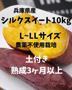 シルクスイート 20kg(箱込) SS~S(約50g～200g) 茨城県産 - メルカリ