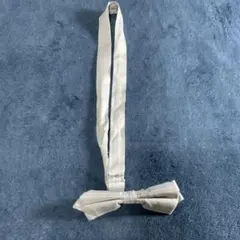 Item thumbnail for item a8b4911a-9bd5-4246-81f7-2681e7981a85