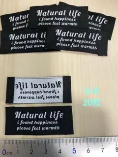 Item thumbnail for item b14ed935-d3b3-41f1-9d32-4bdf0c00661a