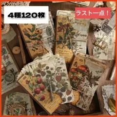 デザインペーパー コラージュペーパー 素材 レトロ 英字 フラワー 自然