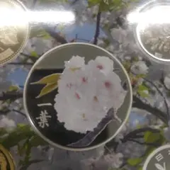 桜の通り抜け 2015 プルーフ貨幣セット 記念メダル のみ造幣局 - メルカリ