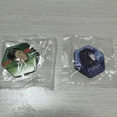 サカモトデイズ　マグネットシート4個セット