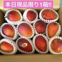 小ぶりなマンゴー詰め合わせ【正味約4.8kg】 小さめマンゴー詰め合わせ2090g 現品限り1箱 - メルカリ
