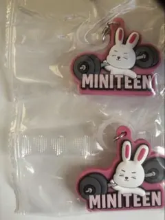ミニティーン　miniteen seventeen セブチ　めじるし　エスクプス