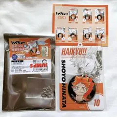 ハイキュー!! 缶バッジ＆特製ホルダーコレクション 第2弾 烏野高校 日向翔陽